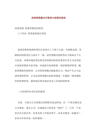 深度营销模式对管理与流程有何挑战