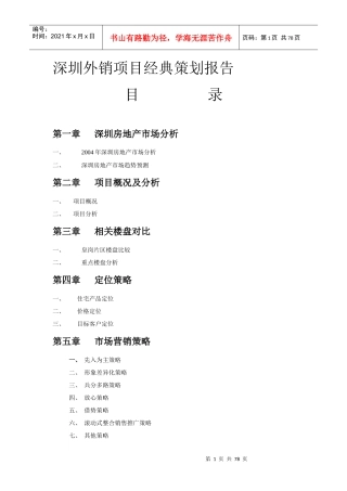 深圳外销项目经典策划报告1