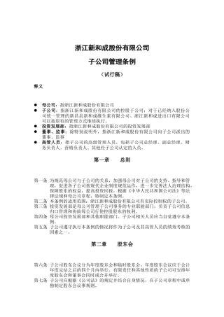 浙江某公司子公司管理制度
