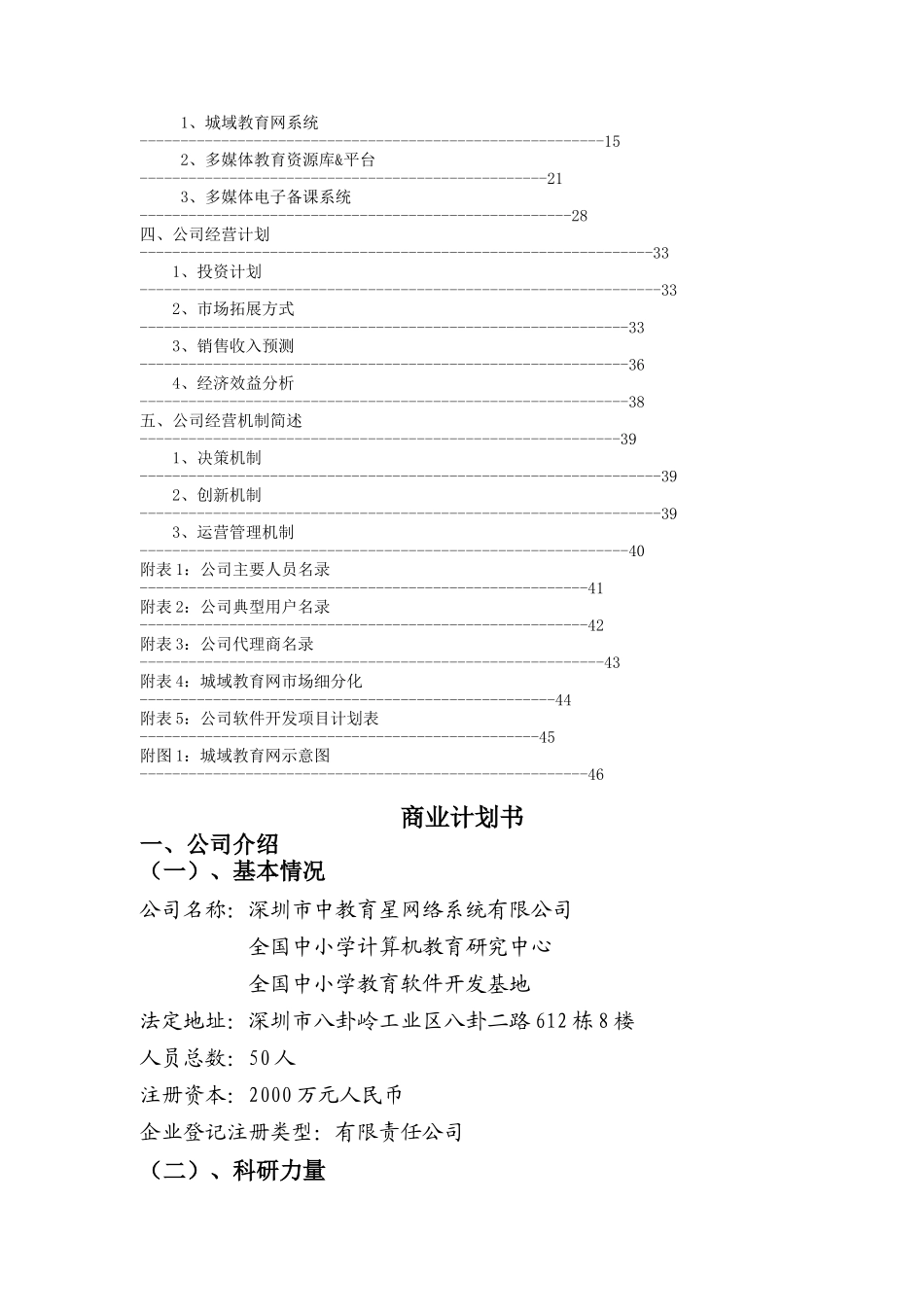 深圳某网络系统公司商业计划书_第2页