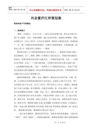 湖南株洲兴业紫庐江岸策划案-86DOC