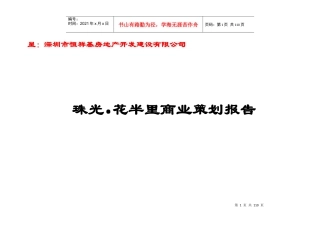 深圳珠光花半里商业部分整体策划报告