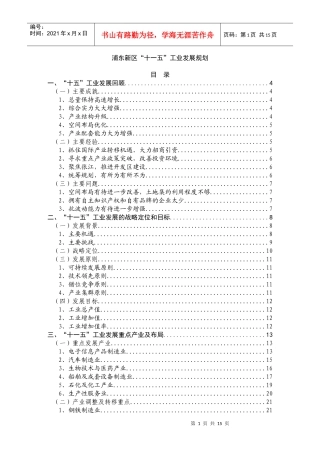 浦东新区十一五工业发展规划