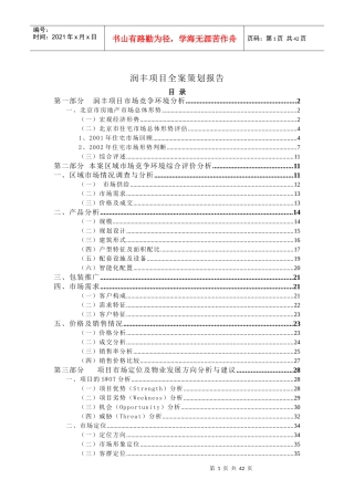 润丰项目全案策划报告(1)