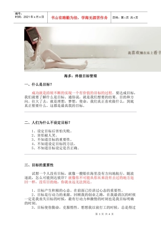 海多：终极目标管理