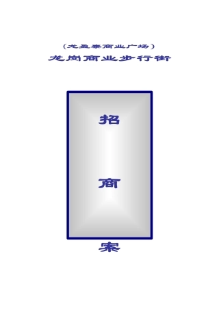 深圳一流商业地产机构某项目招商方案