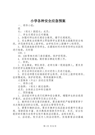 小学各种安全应急预案