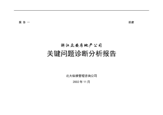 浙江众安关键问题诊断分析报告