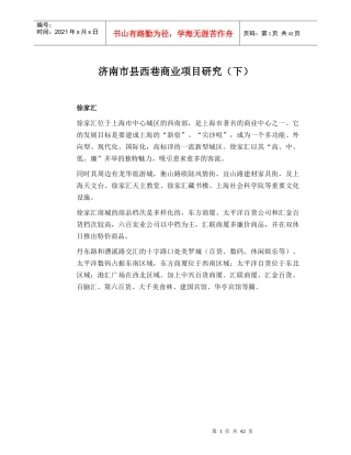 济南市某商业项目研究报告