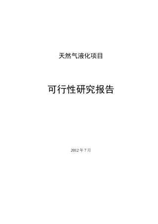液化天然气(LNG)项目可研