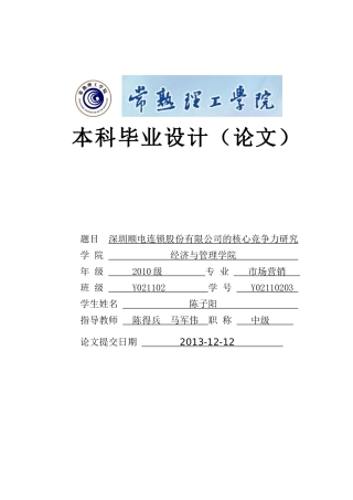 深圳顺电连锁股份有限公司的核心竞争力研究