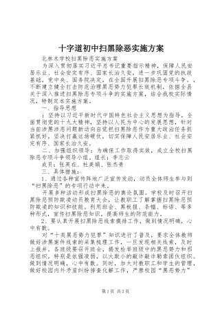 十字道初中扫黑除恶方案 