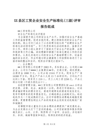 XX县区工贸企业安全生产标准化(三级)评审报告组成 