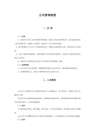 深圳市某公司管理制度