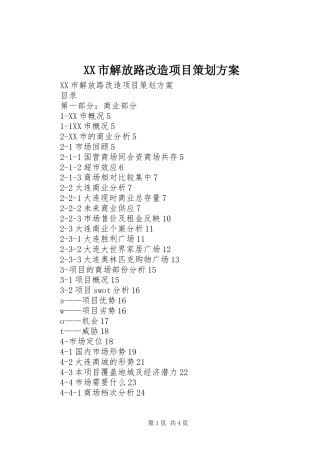 XX市解放路改造项目策划实施方案 