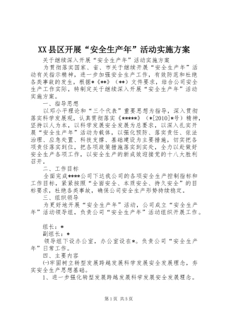 XX县区开展“安全生产年”活动方案 