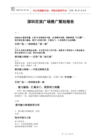 深圳百货广场推广策划报告