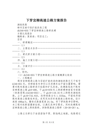 下穿宜柳高速公路方案报告