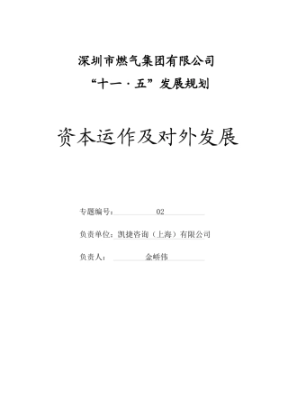 深圳市燃气集团有限公司十一五发展规划资本运作及对外发展