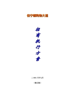 深圳佳宁娜购物大道招商执行方案