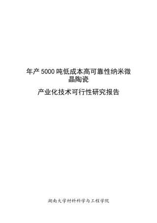湖南大学项目可行性研究一