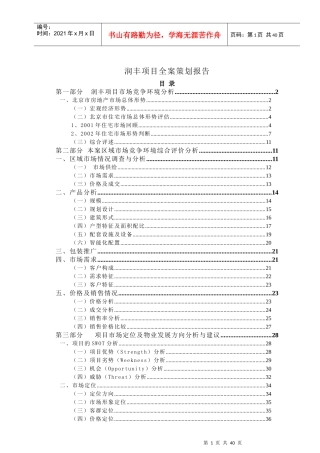润丰项目全程策划报告