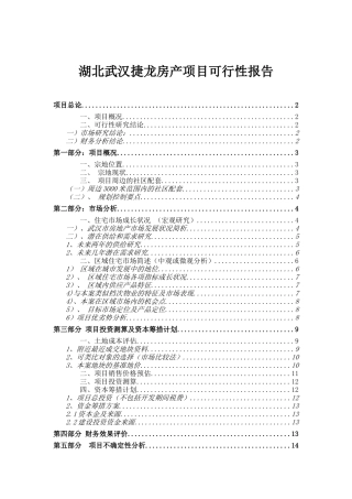 湖北武汉某房产项目可行性报告