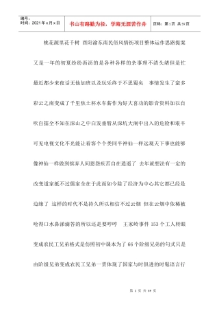 渝东南民俗风情街项目整体运作思路提案