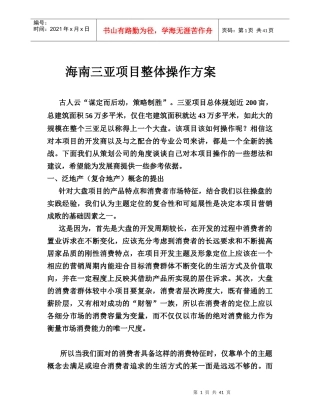 海南三亚项目整体操作方案