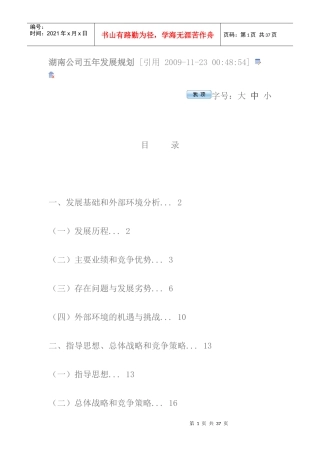 湖南公司五年发展规划