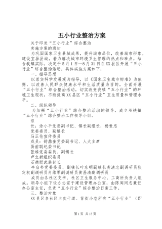 五小行业整治方案