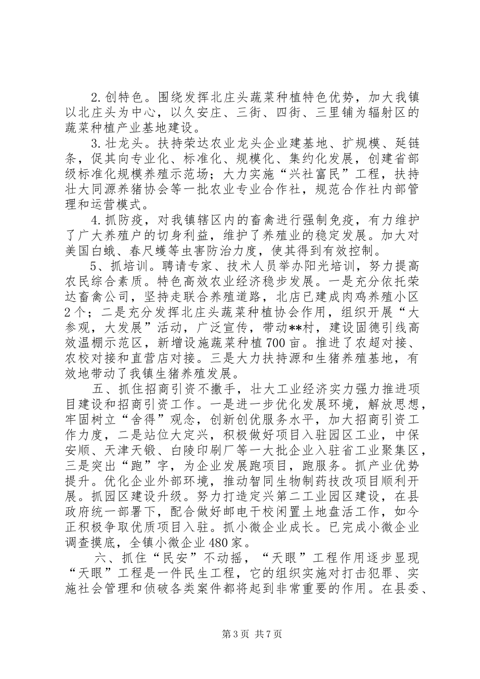 镇工作总结暨XX年工作思路_第3页