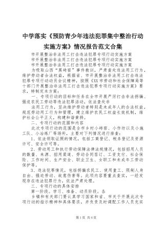 中学落实《预防青少年违法犯罪集中整治行动方案》情况报告范文合集 