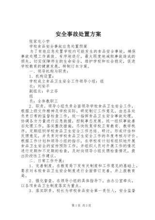 安全事故处置实施方案 