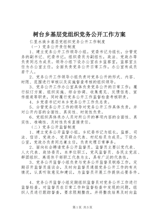树台乡基层党组织党务公开工作实施方案 