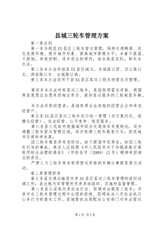 县城三轮车管理方案