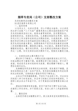 烟草专卖局（公司）支部整改方案