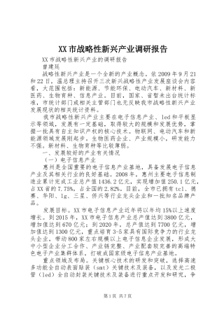 XX市战略性新兴产业调研报告 