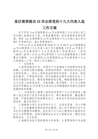 某区推荐提名XX市出席党的十九大代表人选工作方案