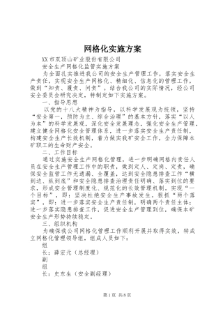 网格化实施方案