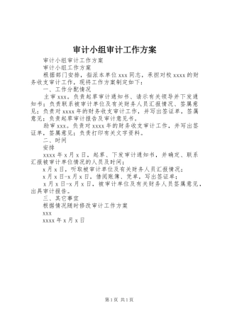 审计小组审计工作方案