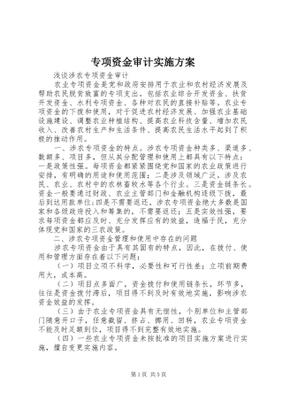 专项资金审计实施方案_4