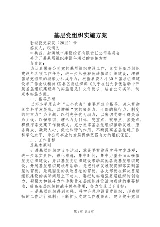 基层党组织方案 