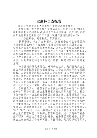 安康杯自查报告 