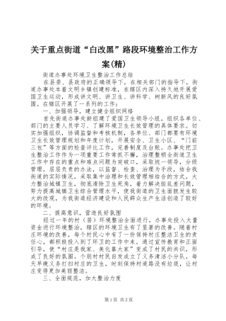 关于重点街道“白改黑”路段环境整治工作实施方案(精) 
