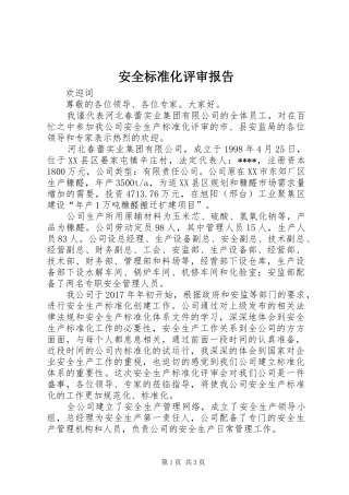 安全标准化评审报告 