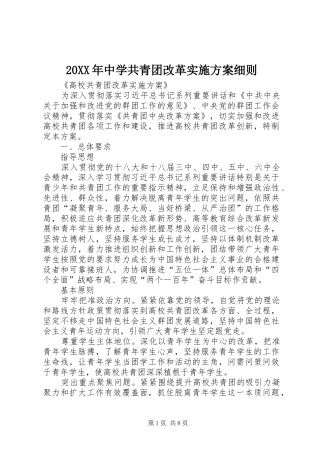 XX年中学共青团改革方案细则 