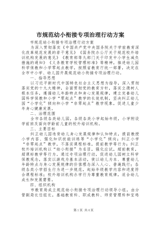 市规范幼小衔接专项治理行动实施方案 