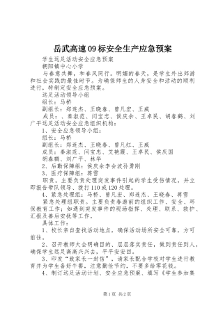 岳武高速09标安全生产应急处置预案 