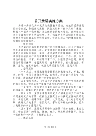 公开承诺方案 